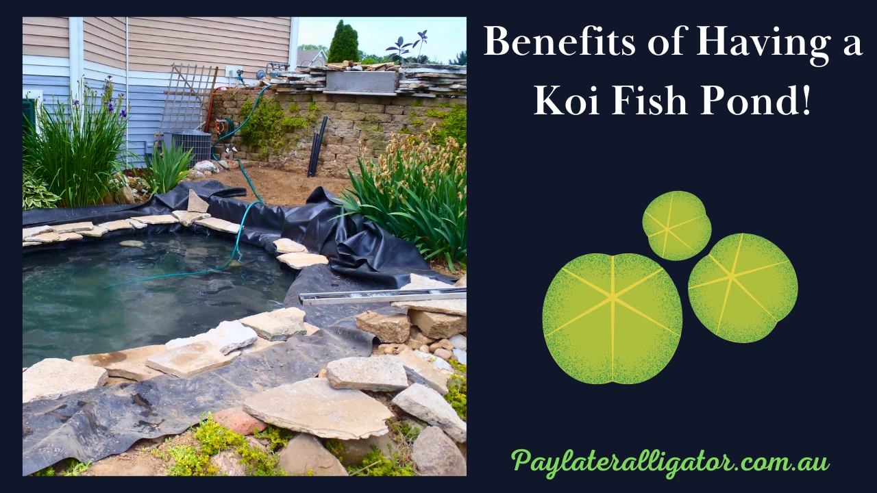 Benefits of Having a Koi Fish Pond!