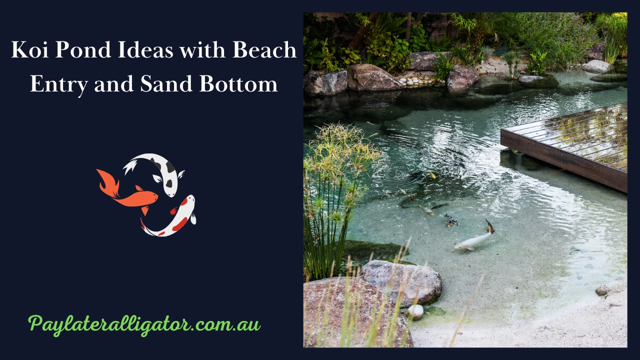 Pond with a Beach Entry and Sand Bottom