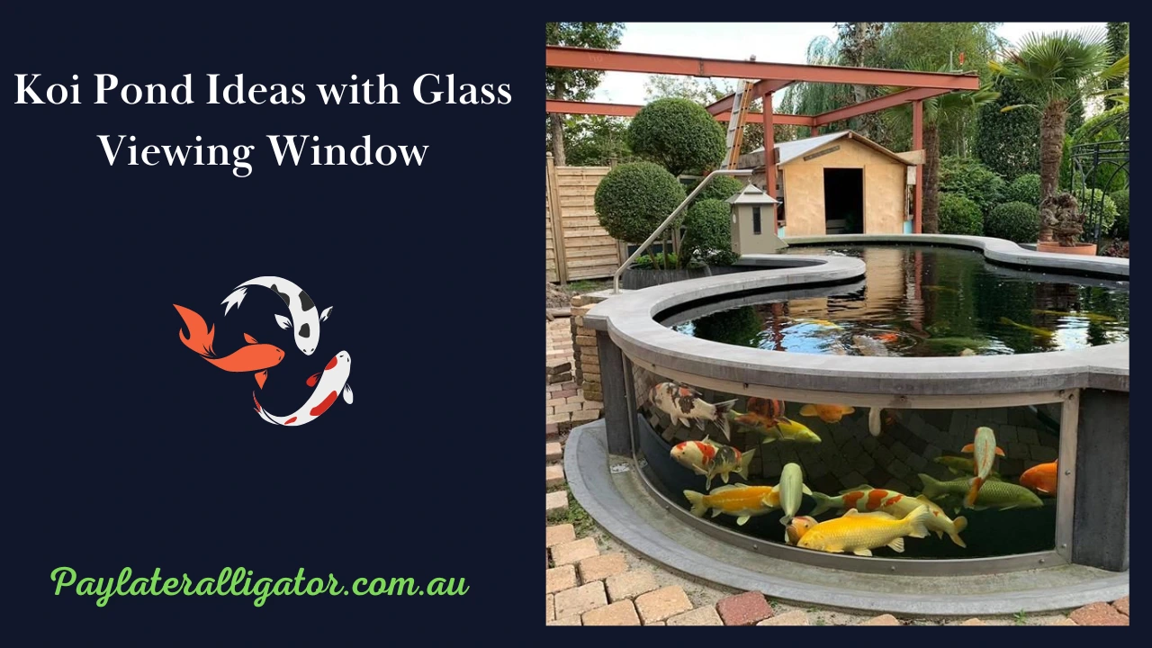 Koi Pond Ideas with Glass Viewing Window