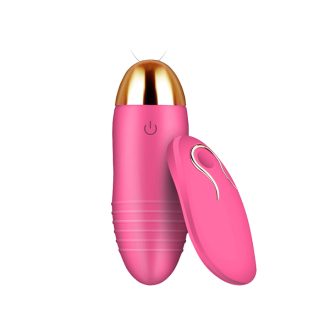 10 Speed Vibrator USB Love Egg Sex Adult Toy Wireless Remote Control Bullet Rose