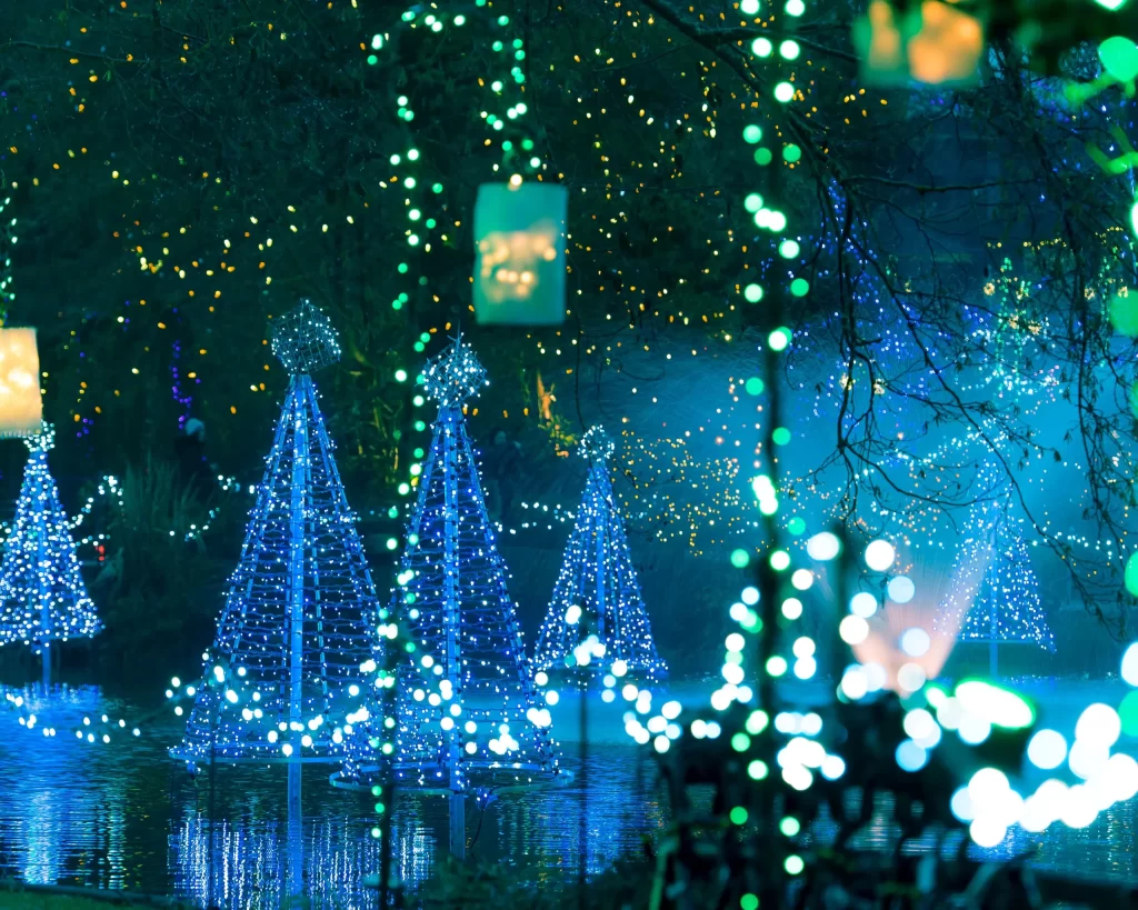 Blue Christmas lights