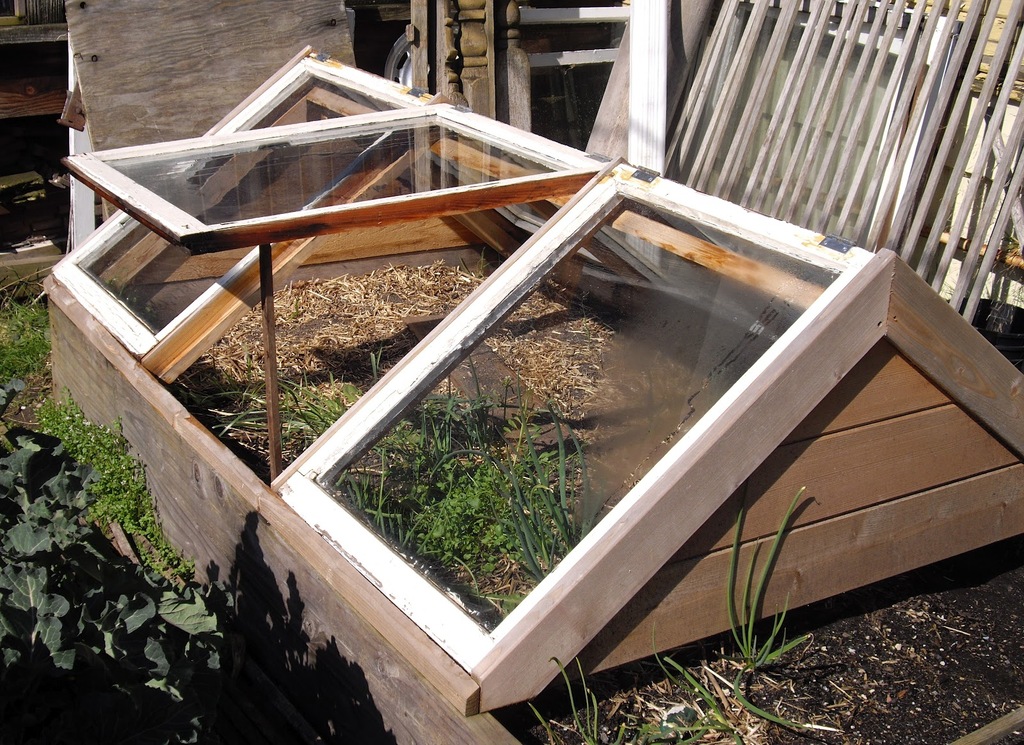Mini DIY Greenhouse From An Old Window Pane