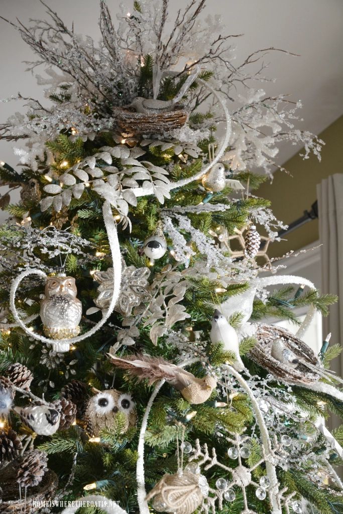 Winter green Branches for Christmas Ideas
