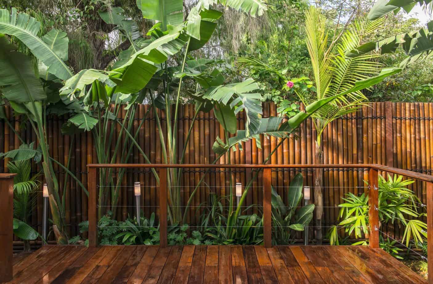 small tropical garden ideas with Bamboo Blinds