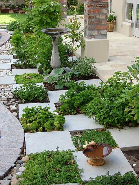 small tropical garden ideas with Herbs