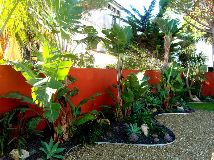 small tropical garden with Painted Accent Wall 