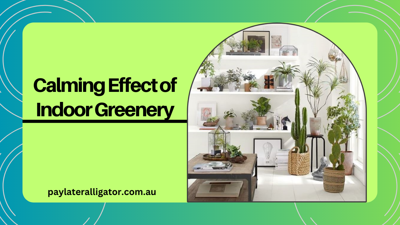 Calming Effect of Indoor Greenery