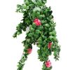 Hanging Stem UV 85cm – Pink Rose