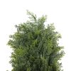 UV Resistant Cypress Pine Tree – 2.1 M