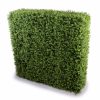 Deluxe Portable Buxus Hedges UV Stabilised – 100×100 cm