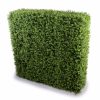 Deluxe Portable Buxus Hedges UV Stabilised – 150×150 cm
