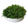 Artificial Green Wall Disk Art 60cm – Philodendron (Fresh White)