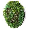 Artificial Green Wall Disk Art 150cm – Green Sensation (Fresh White)