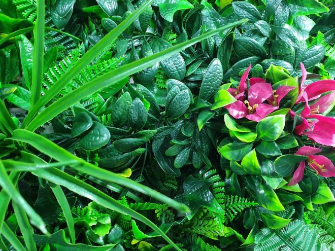 Vertical Garden / Green Wall UV Resistant 100cm x 100cm – Red Rose