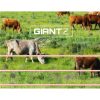Giantz Electric Fence Wire Tape Poly Stainless Steel Temporary Fencing Kit – 2000 M