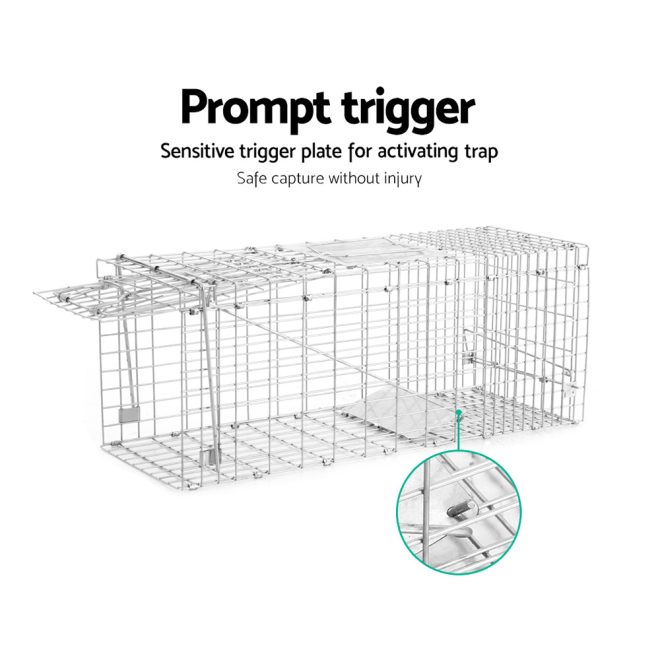 Humane Animal Trap Cage  – Silver