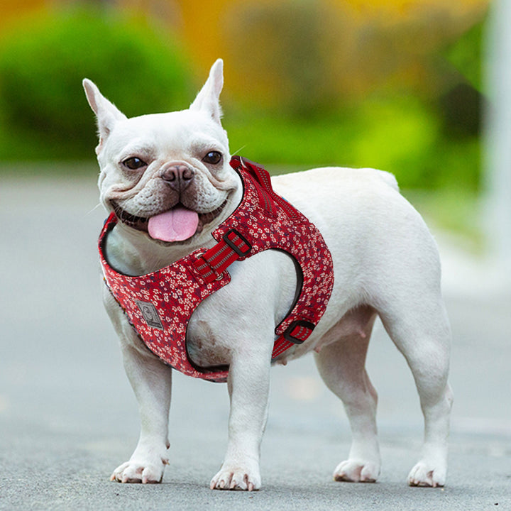 Floral Doggy Harness – M, Red