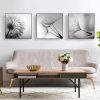 Botanical dandelions 3 Sets Black Frame Canvas Wall Art – 50×50 cm