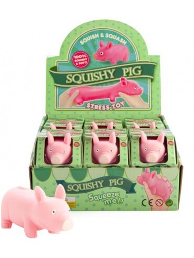 Squishy Pig Toy