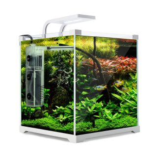 Dynamic Power Aquarium Fish Tank Starfire Glass
