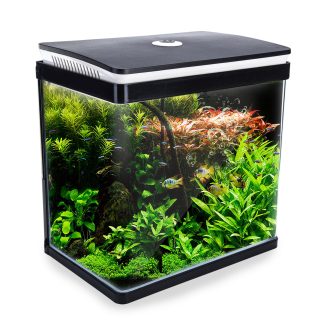 Dynamic Power Aquarium Fish Tank Curved Glass RGB LED