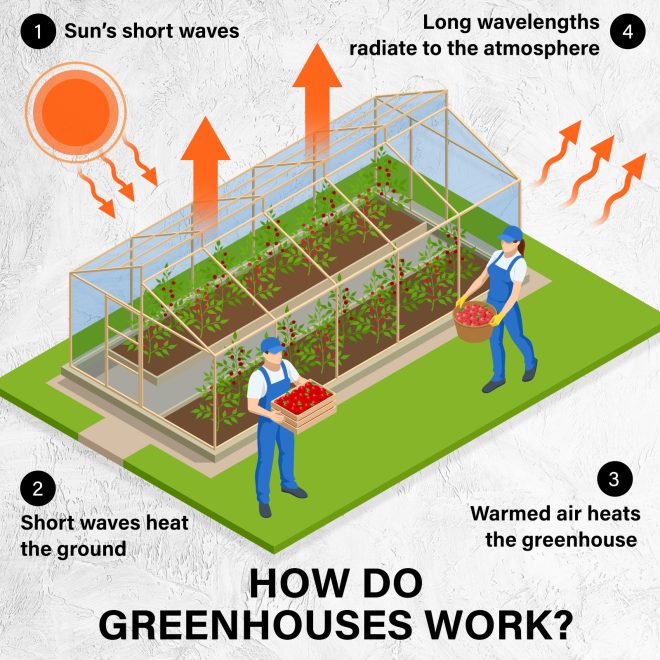 Apex Mini Garden Greenhouse Shed PVC 4 Tier – 0.5×0.7×1.6 M(Clear)