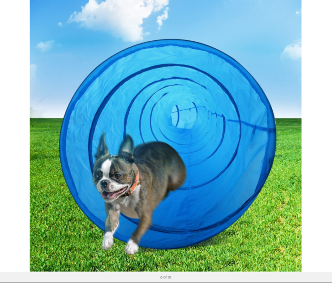 Portable Pet Dog Agility Training Exercise Cat Tunnel Chute with Carry Bag 5.5M