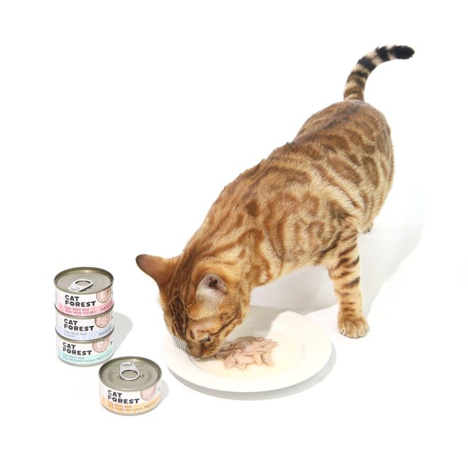 Classic Tuna White Meat With Shrimp In Gravy Cat Canned Food 85G X 24