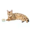 Premium Tuna White Meat With Mussel In Gravy Cat Canned Food 85G X 24