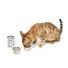 Classic Tuna White Meat In Gravy Cat Canned Food 85G X 24