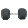 Commercial Rubber Hex Dumbbell Gym Weight – 25 KG