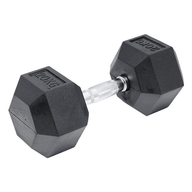 Commercial Rubber Hex Dumbbell Gym Weight – 20 KG