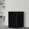 Drawer Shelf Office Gym Filing Storage Locker Cabinet – Black, 2-Drawer