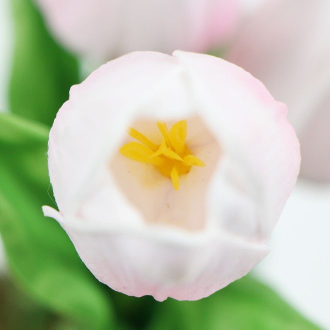 Flowering Artificial Tulip Plant Arrangement With Ceramic Bowl 35cm – Pink