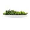 Flowering White Artificial Green Wall Disc UV Resistant – 75 cm, White Frame