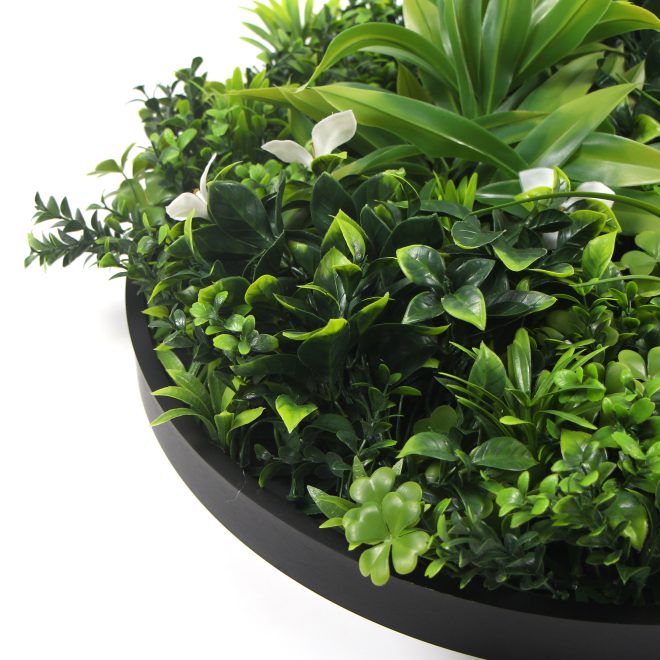 Flowering White Artificial Green Wall Disc UV Resistant – 75 cm, Black Frame