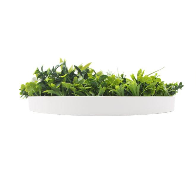Flowering White Artificial Green Wall Disc UV Resistant – 100 cm, White Frame