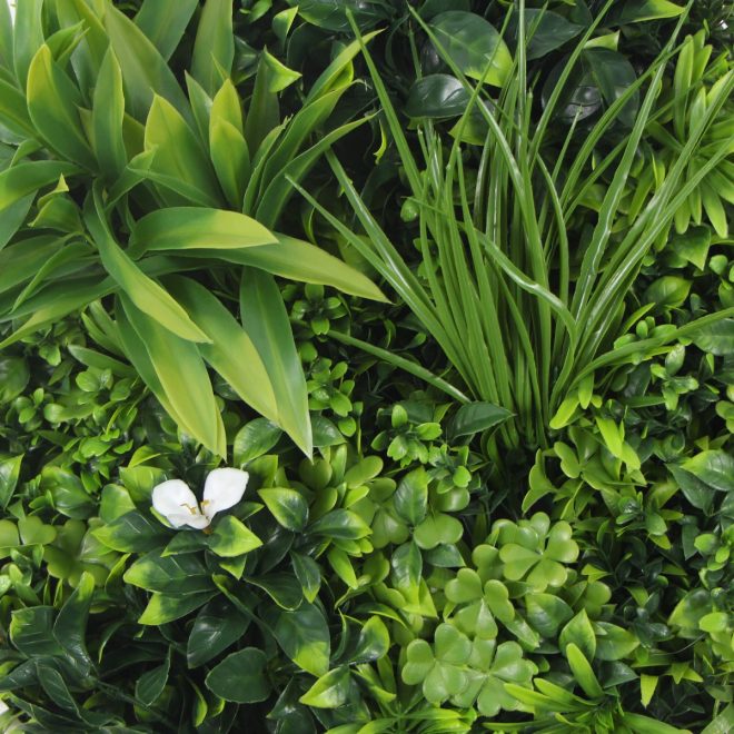 Flowering White Artificial Green Wall Disc UV Resistant 50cm – White Frame