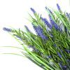 Long Stem Lavender 50cm UV Resistant – Purple