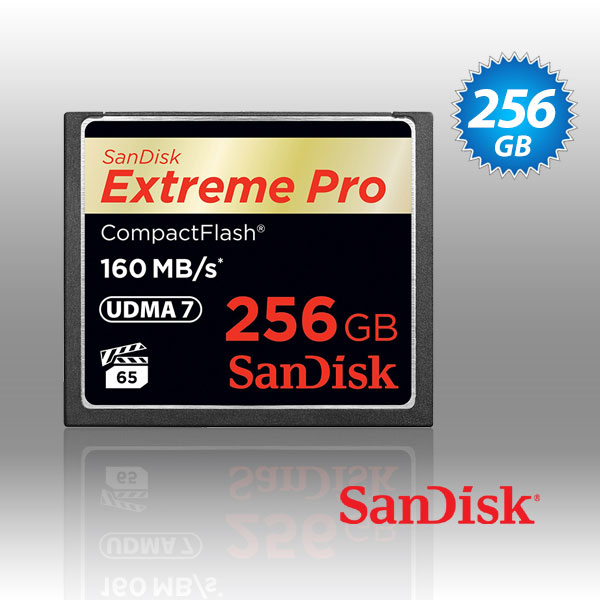 SanDisk Extreme Pro CFXP CompactFlash 160MB/s (SDCFXPS) – 256GB