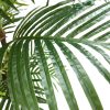 Artificial Hawaii Tropical Palm 170cm