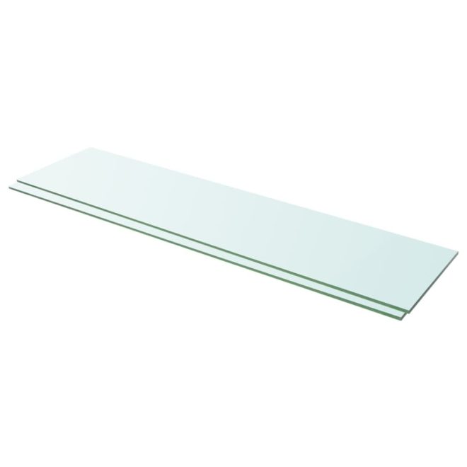 Shelves 2 pcs Panel Glass Clear 100×25 cm