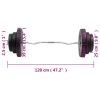 Curl Barbell with Plates 60 kg