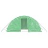 Greenhouse with Steel Frame 10 m² 5x2x2.3 m – Green