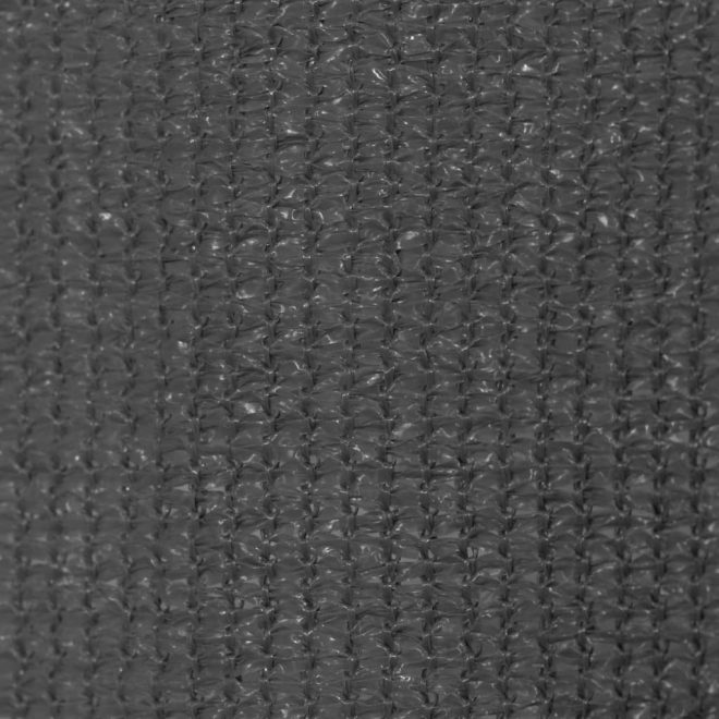 Outdoor Roller Blind Anthracite – 120×230 cm