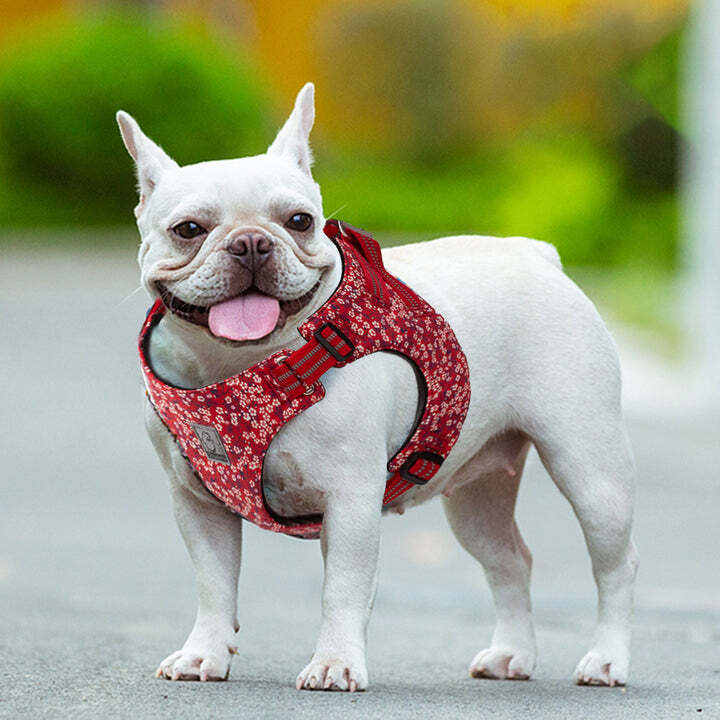 Floral Doggy Harness – S, Red