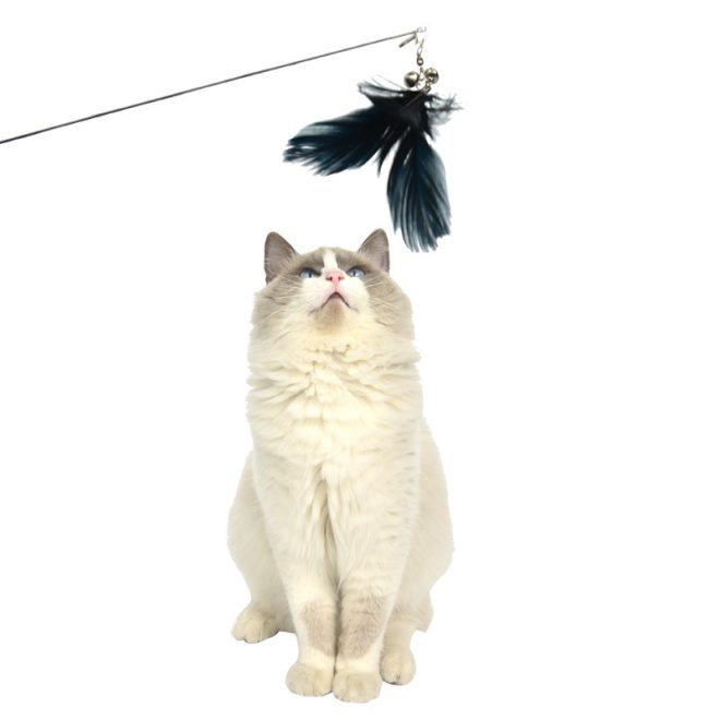 YES4PETS  2 X Pet Cat Toys Retractable Feathers Teaser Cat Stick Interactive Play