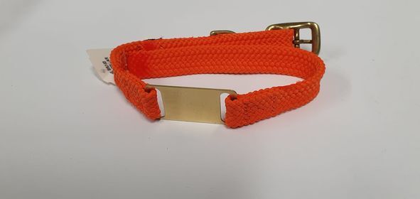 Products – ID Junior Dog Collar with Brass Tag – SIZES: 35CM,  – Made in the USA – Orange