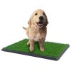 XL Indoor Dog Puppy Toilet Grass Training Mat Loo Pad Potty 76 X 51 cm