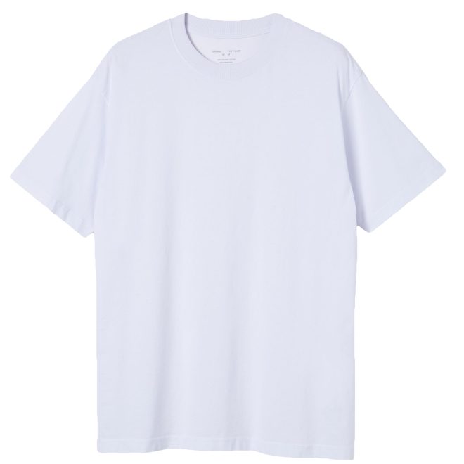 Adult 100% Cotton T-Shirt Unisex Men’s Basic Plain Blank Crew Tee Tops Shirts, White, L